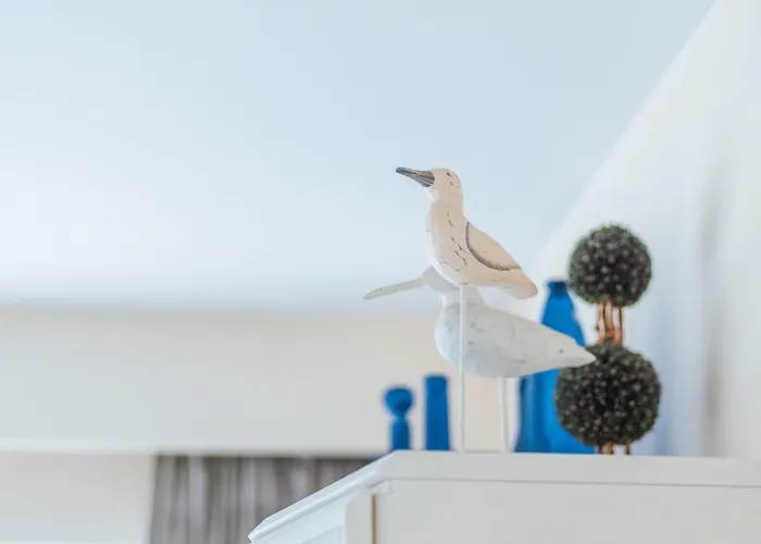 Charlotte B2 De Haan