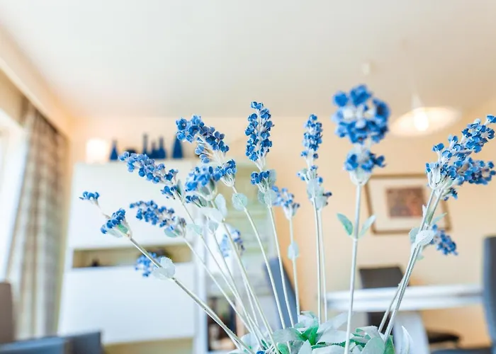 Apartment Charlotte B2